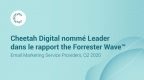 Forrester Wave Marketing